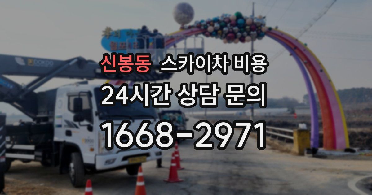 신봉동 스카이차 비용