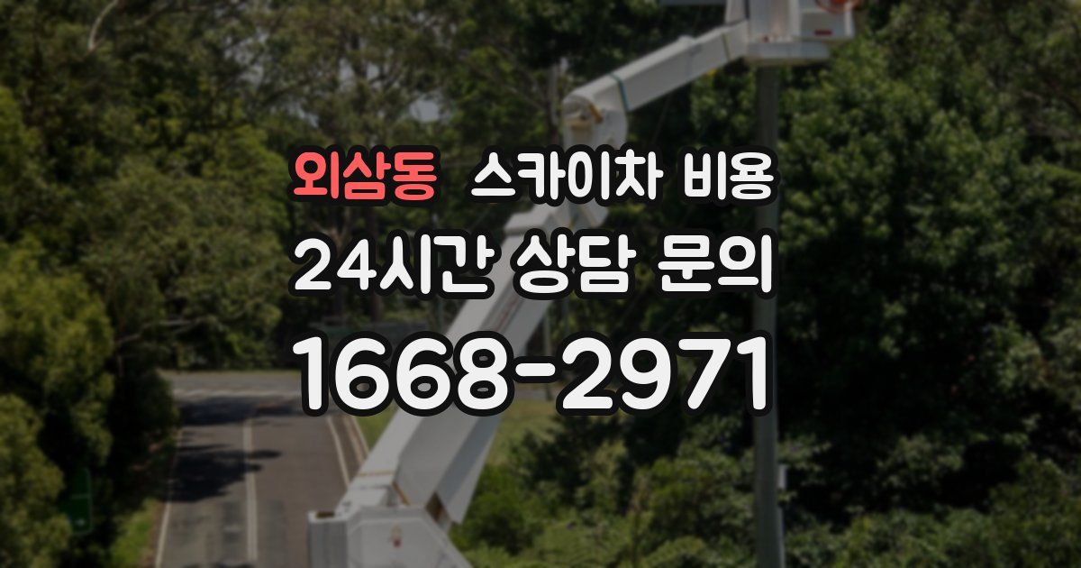 외삼동 스카이차 비용