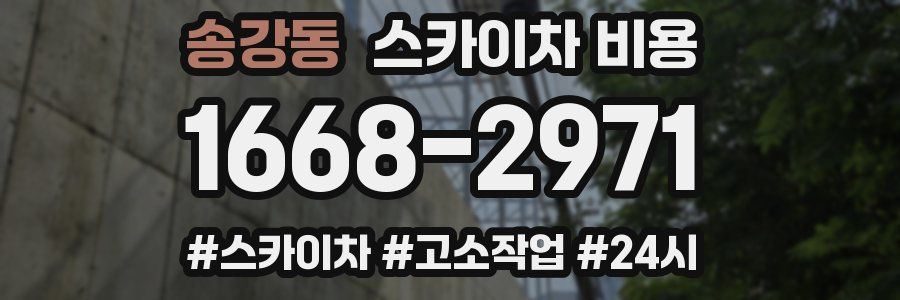송강동 스카이차 비용
