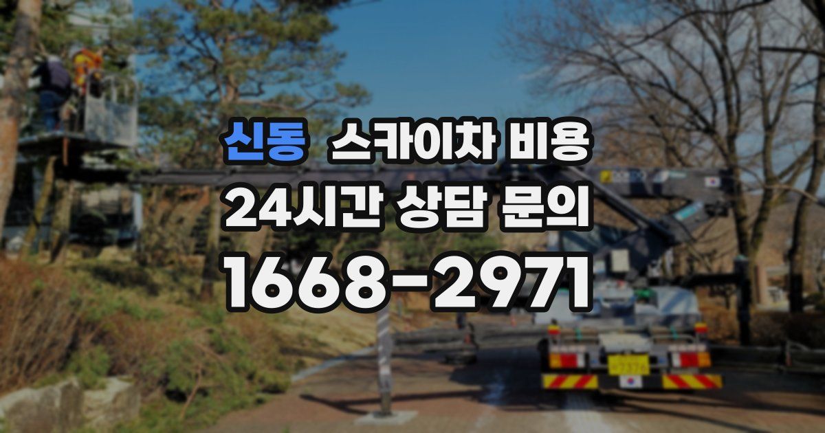 신동 스카이차 비용