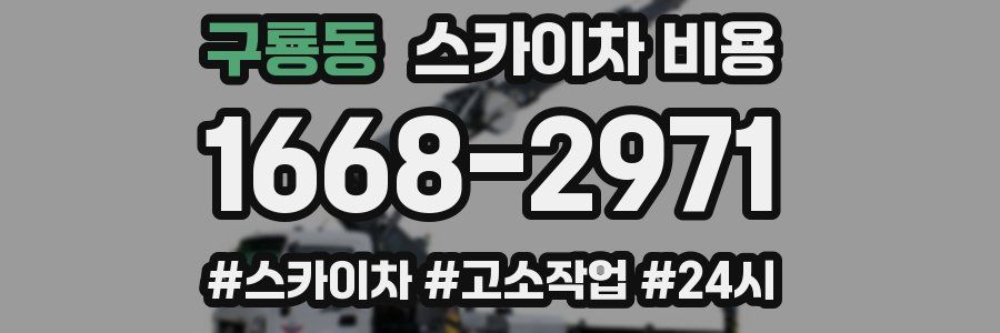 구룡동 스카이차 비용