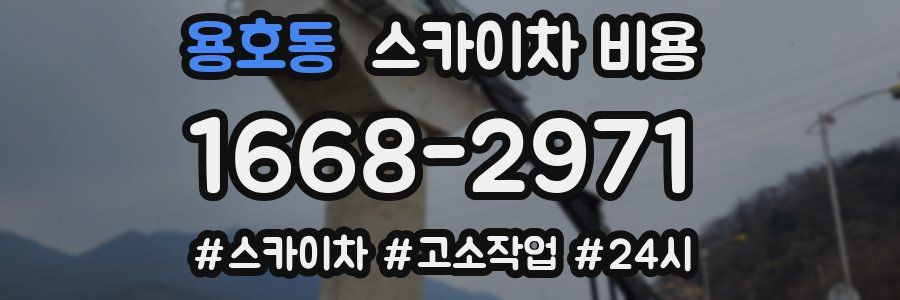 용호동 스카이차 비용