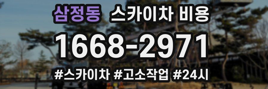 삼정동 스카이차 비용