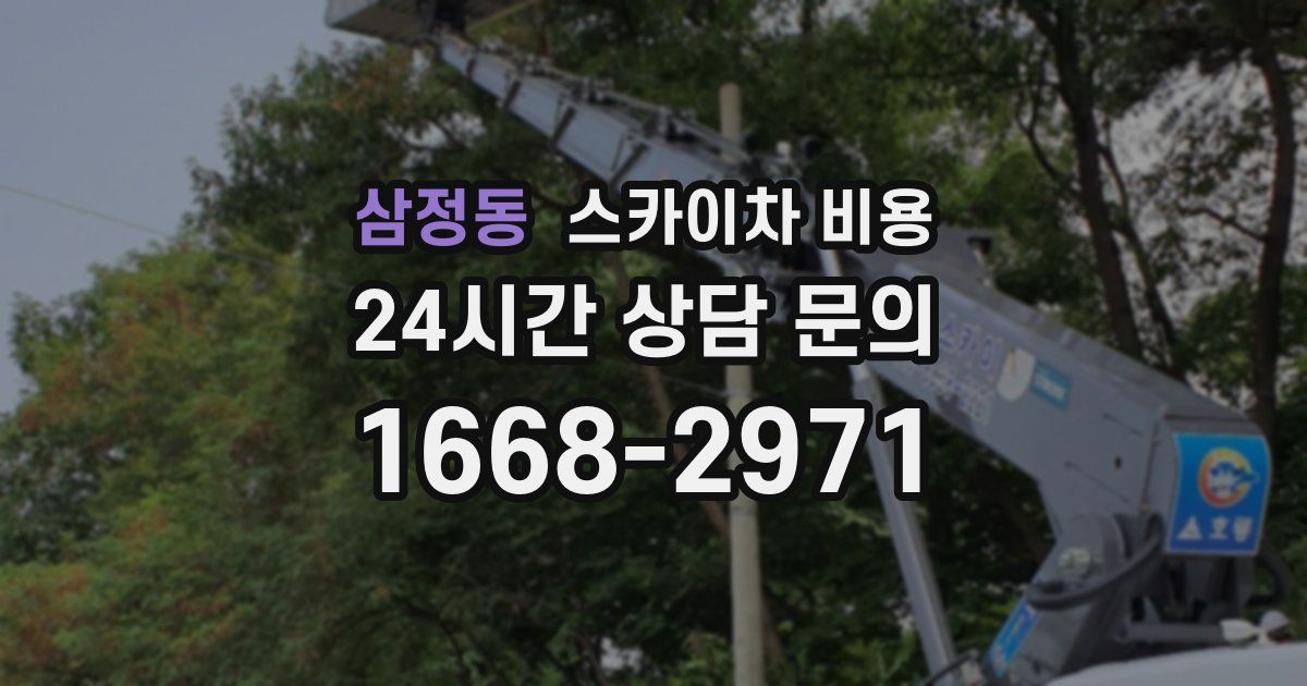 삼정동 스카이차 비용