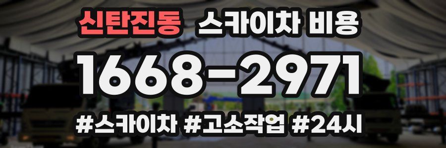 신탄진동 스카이차 비용