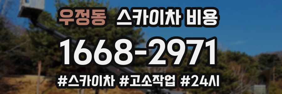 우정동 스카이차 비용