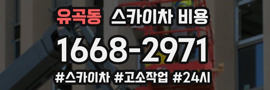 유곡동 스카이차 비용