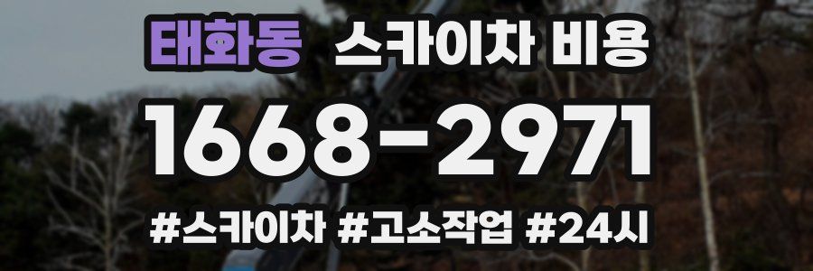 태화동 스카이차 비용