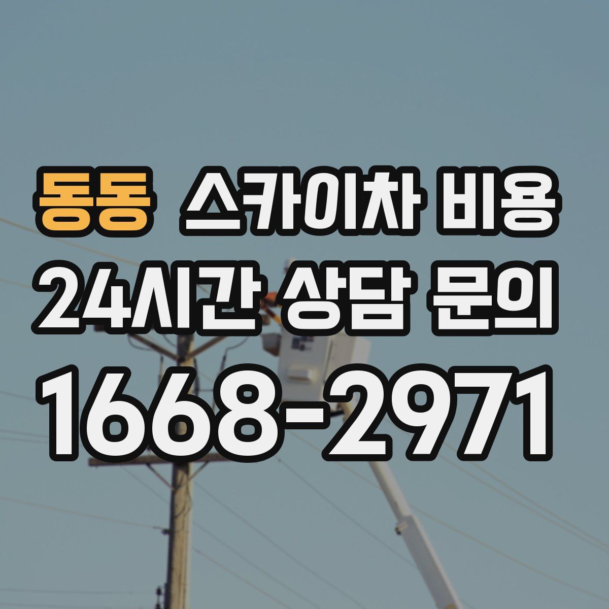 동동 스카이차 비용