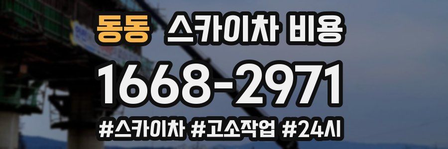 동동 스카이차 비용