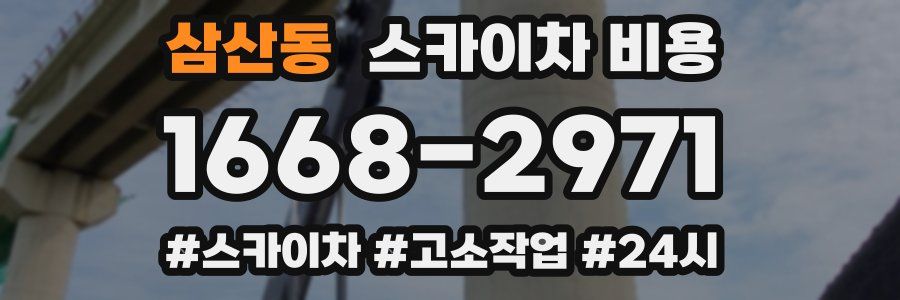 삼산동 스카이차 비용