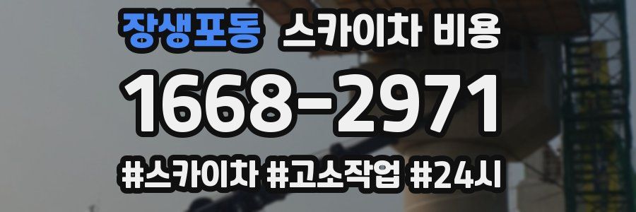 장생포동 스카이차 비용