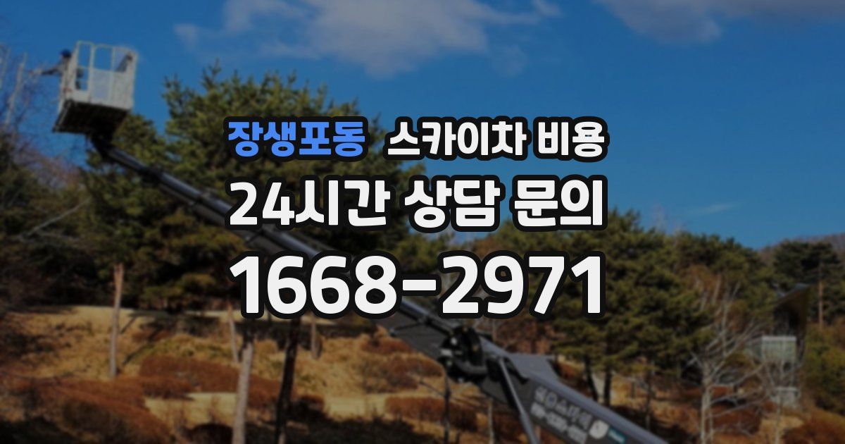 장생포동 스카이차 비용