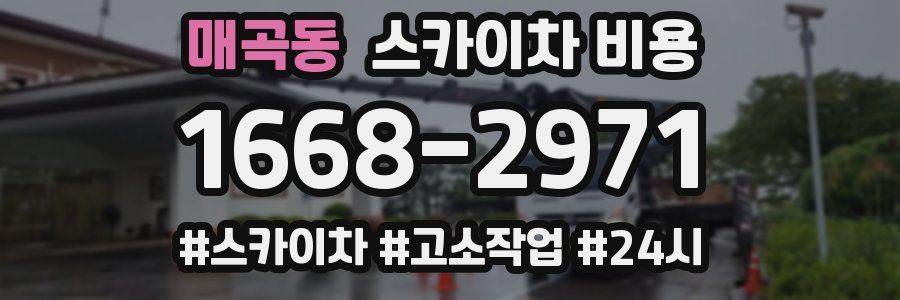 매곡동 스카이차 비용