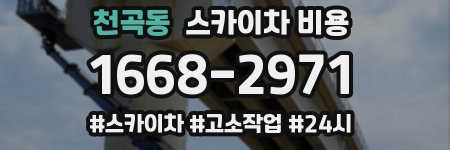 천곡동 스카이차 비용