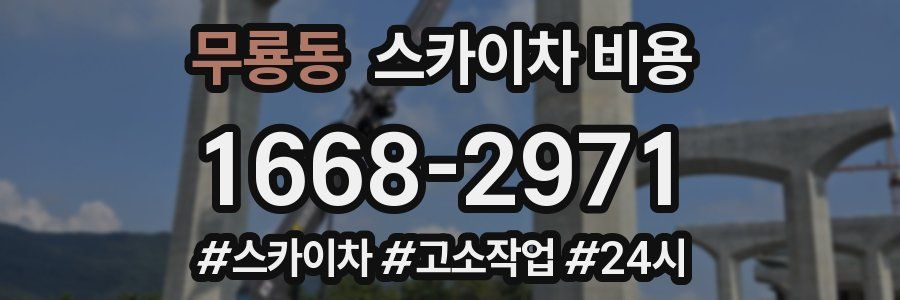 무룡동 스카이차 비용