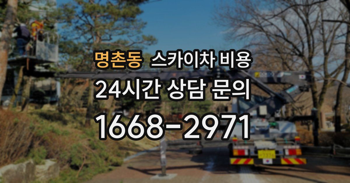 명촌동 스카이차 비용