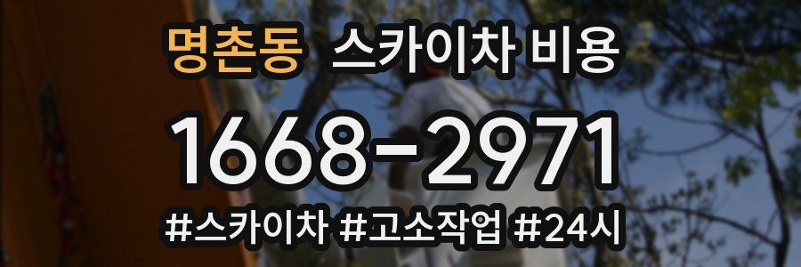 명촌동 스카이차 비용