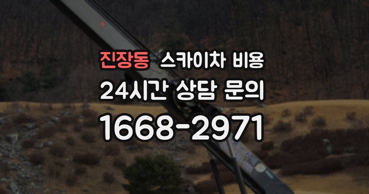 진장동 스카이차 비용