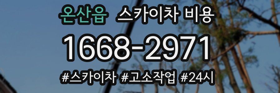 온산읍 스카이차 비용