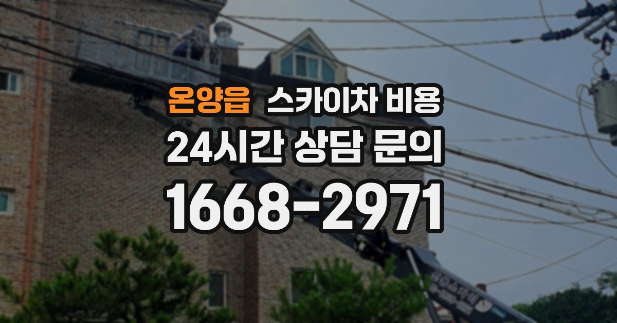 온양읍 스카이차 비용