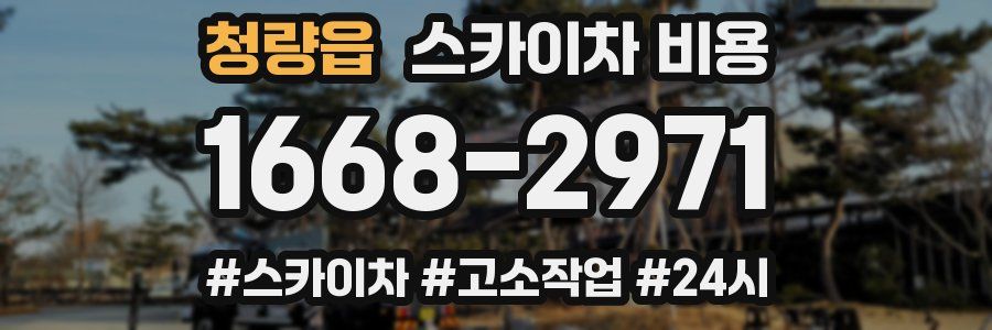 청량읍 스카이차 비용