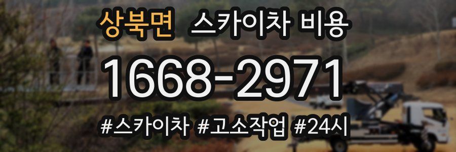 상북면 스카이차 비용