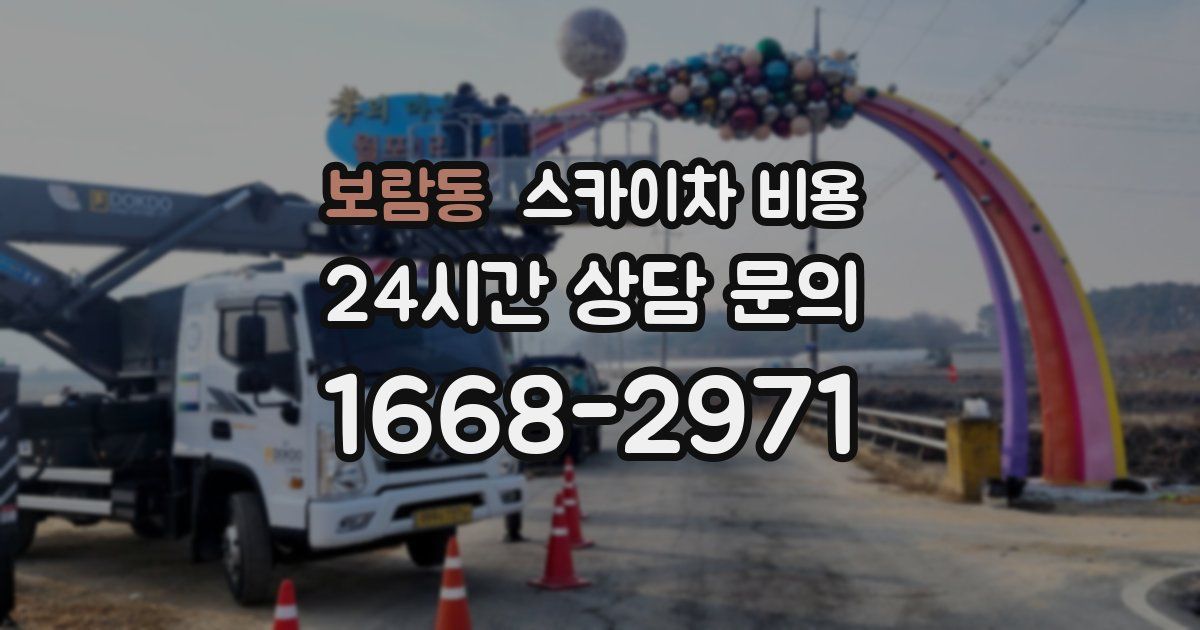 보람동 스카이차 비용