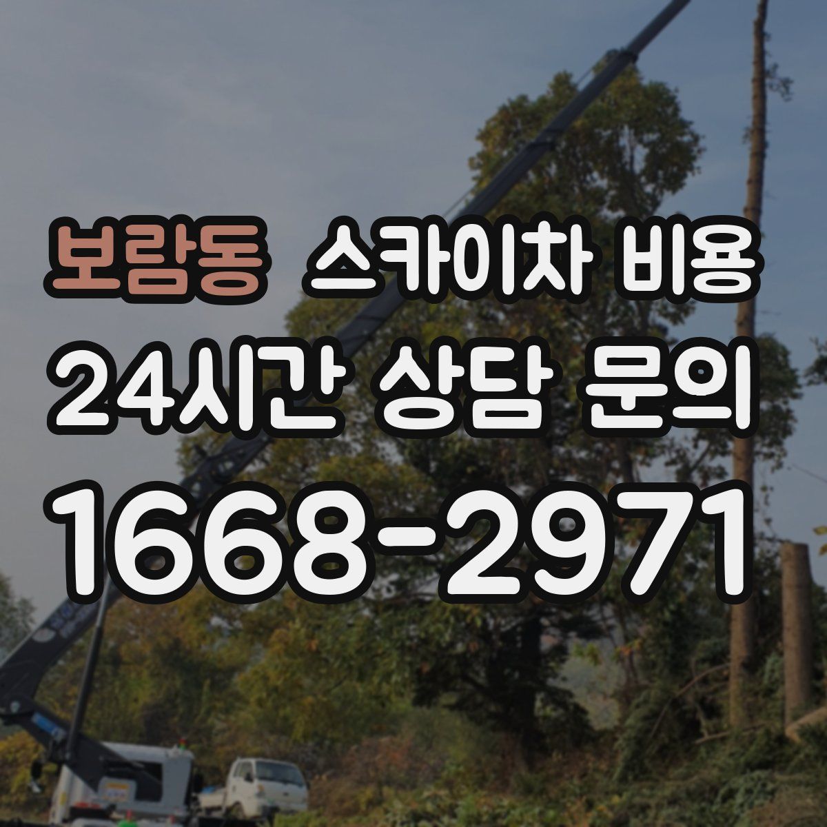 보람동 스카이차 비용