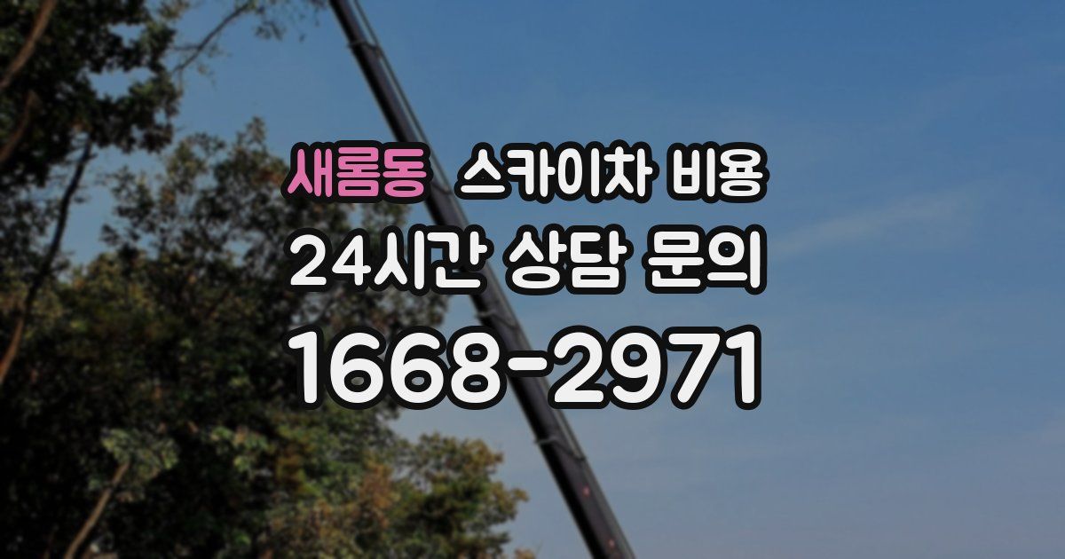 새롬동 스카이차 비용