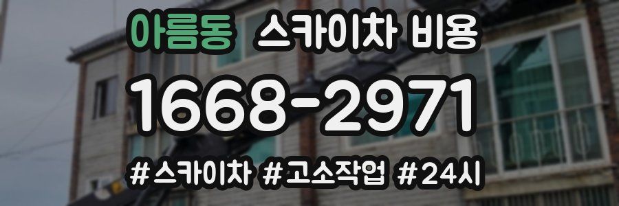 아름동 스카이차 비용