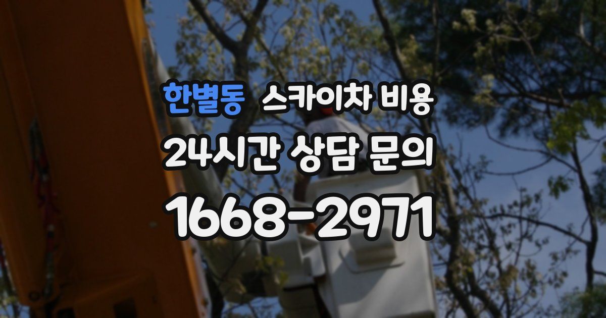 한별동 스카이차 비용