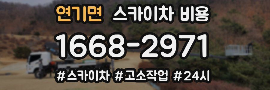 연기면 스카이차 비용