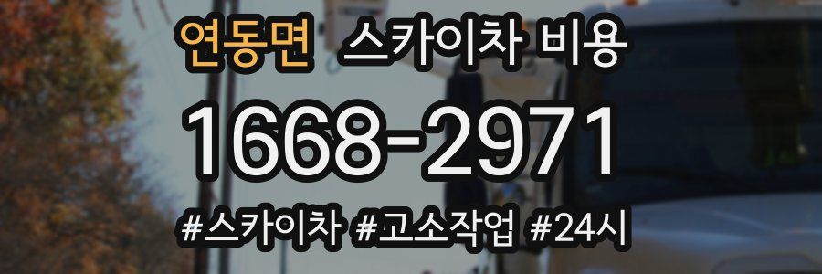 연동면 스카이차 비용