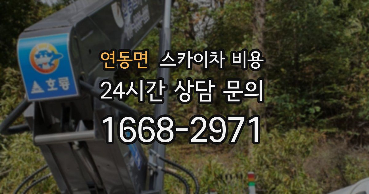 연동면 스카이차 비용