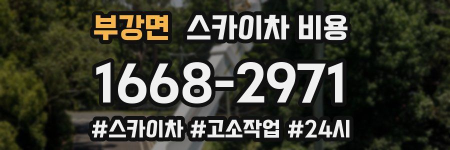 부강면 스카이차 비용