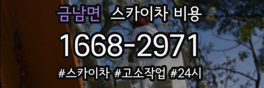 금남면 스카이차 비용