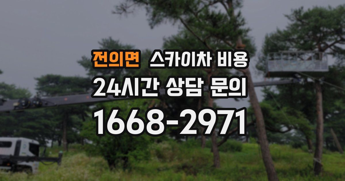 전의면 스카이차 비용