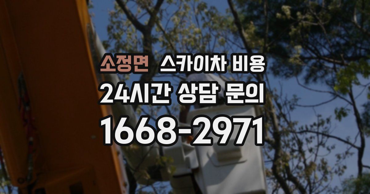 소정면 스카이차 비용