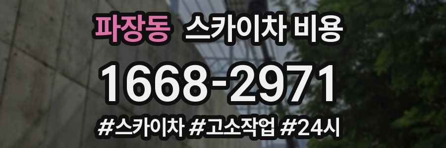 파장동 스카이차 비용