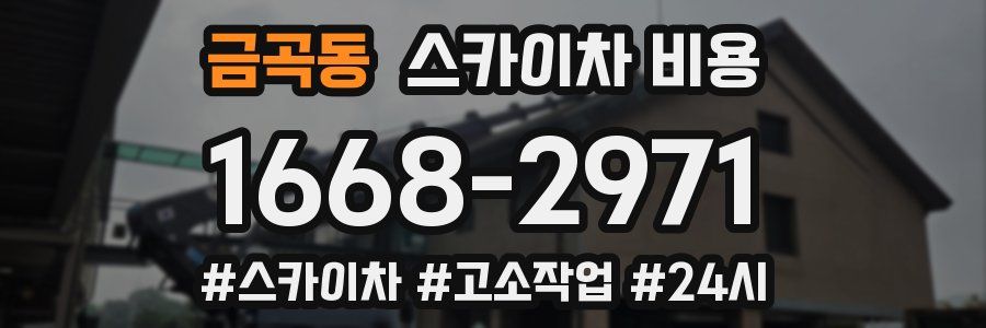 금곡동 스카이차 비용