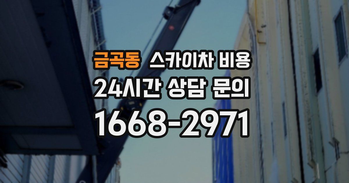 금곡동 스카이차 비용