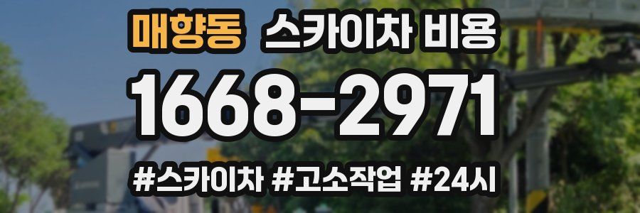 매향동 스카이차 비용