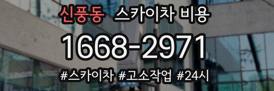 신풍동 스카이차 비용