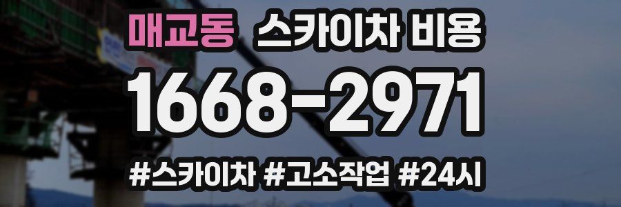 매교동 스카이차 비용