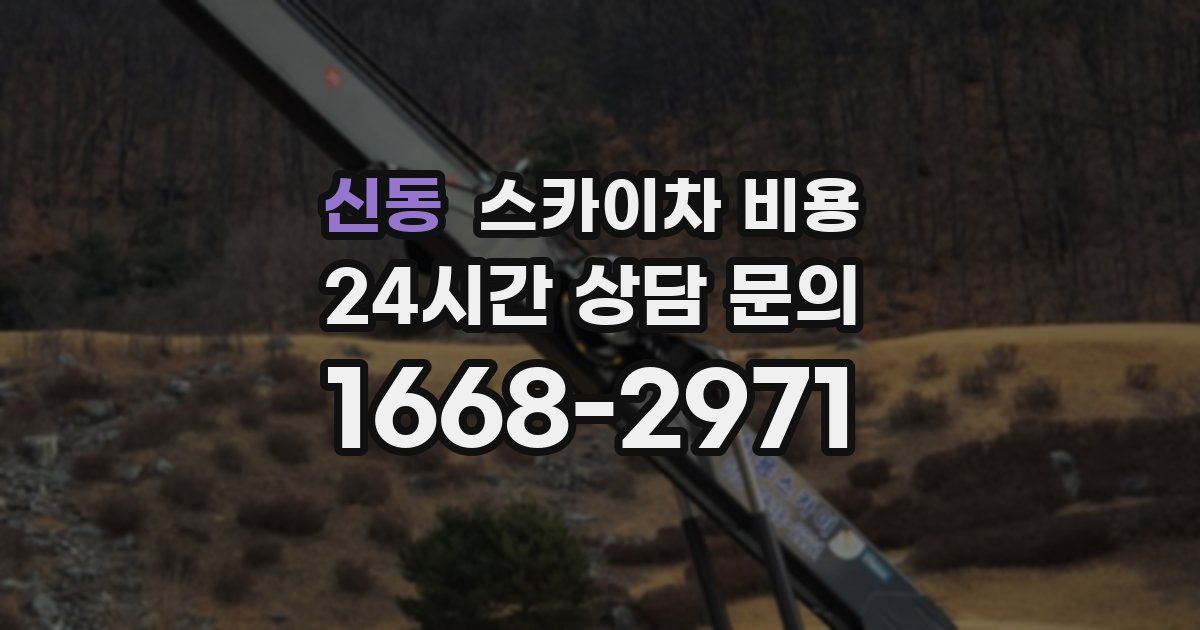 신동 스카이차 비용