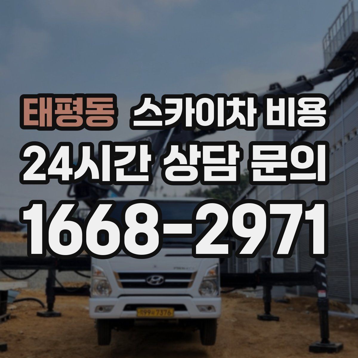 태평동 스카이차 비용 수목 전정 비용이 달라지는 요소 정리