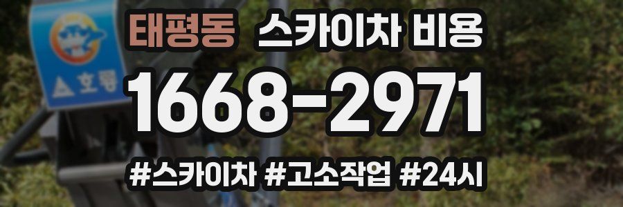 태평동 스카이차 비용