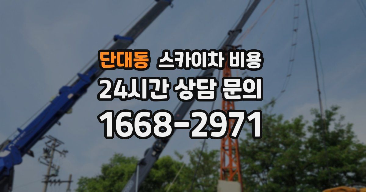 단대동 스카이차 비용