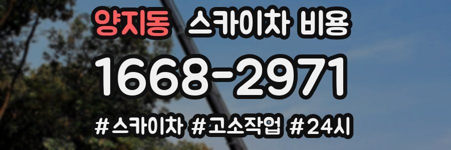 양지동 스카이차 비용